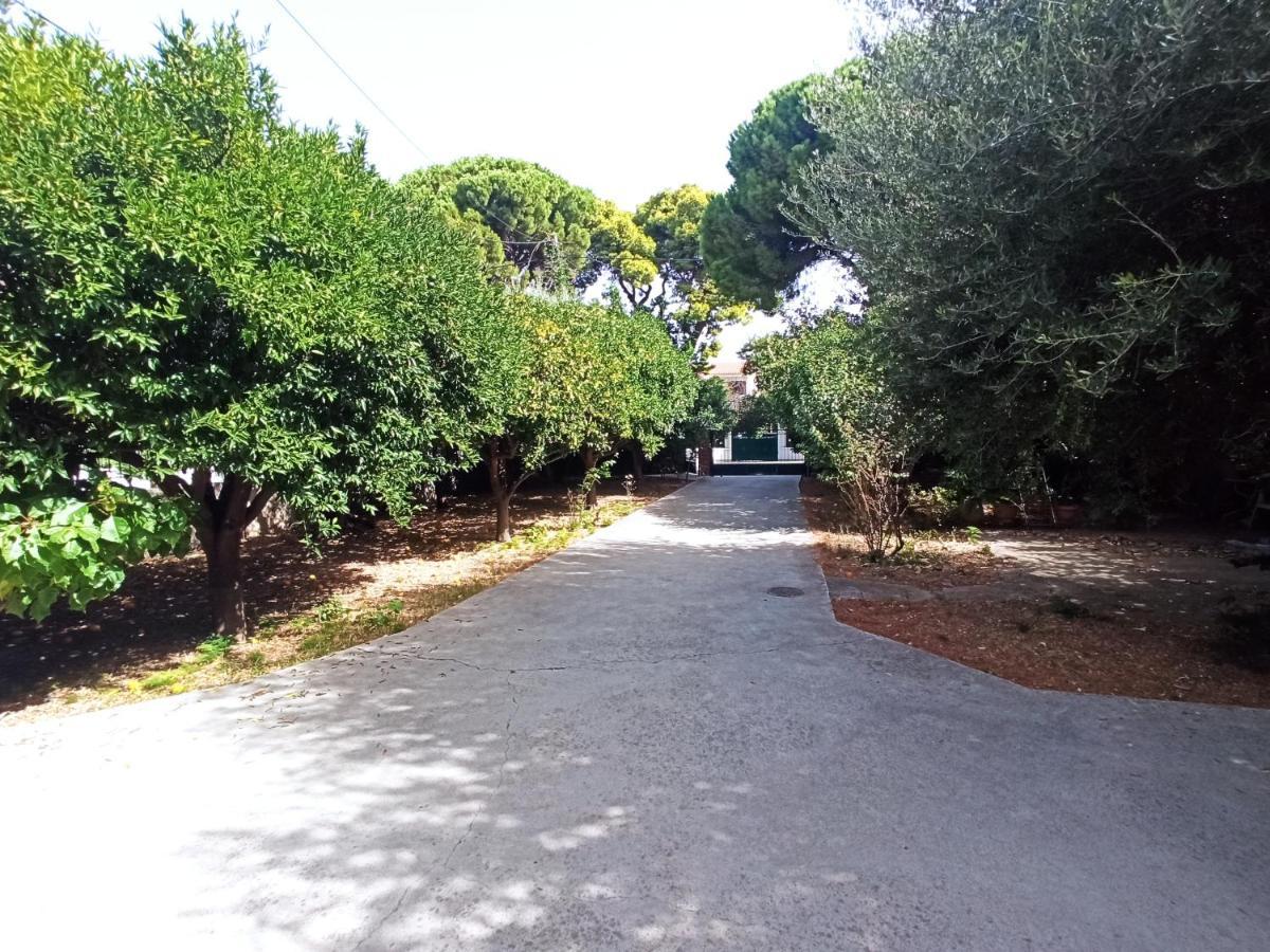 Σπίτι Στο Ρίο Πατρών Με Κήπο - Detached House In Rio With Garden Apartment Exterior foto